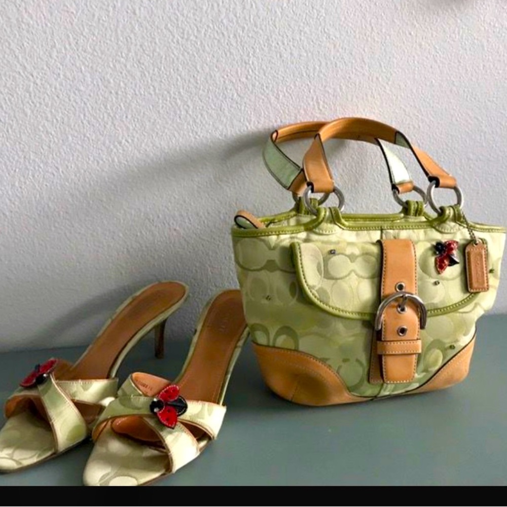 Genuine Coach ladybug hobo bag and matching Coach slide heels, size 8